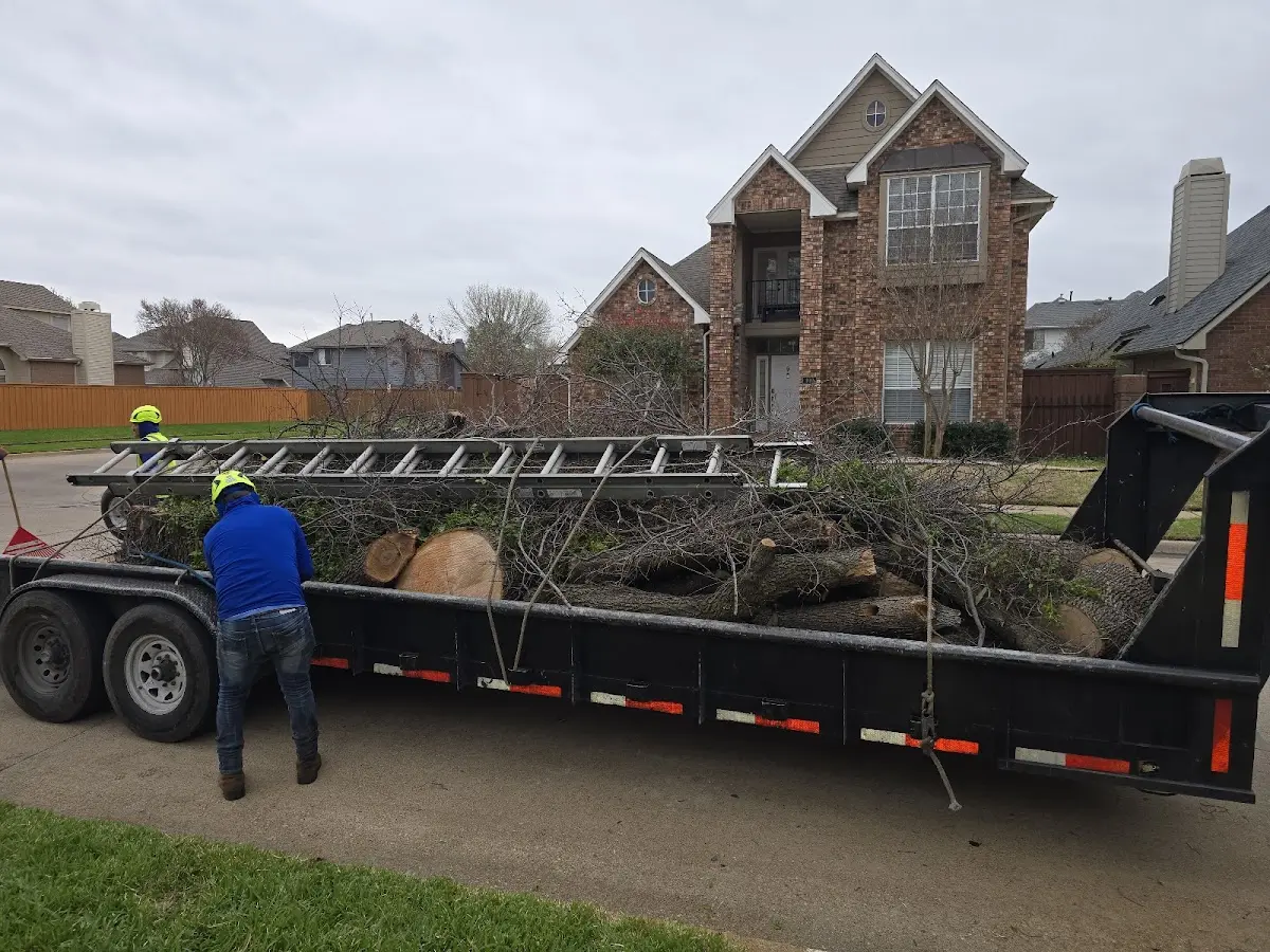 Expert Tree Fertilization with proper safety equipment in Martin